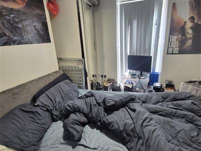 Picture 7
